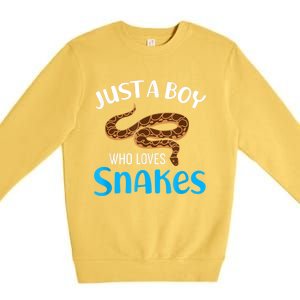 Just A Boy Who Loves Snakes Snake Lover Premium Crewneck Sweatshirt