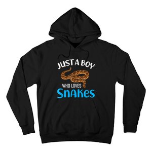 Just A Boy Who Loves Snakes Snake Lover Hoodie