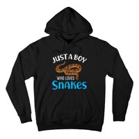 Just A Boy Who Loves Snakes Snake Lover Hoodie