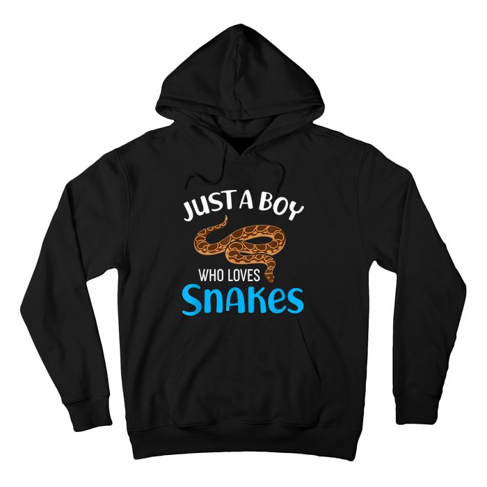 Just A Boy Who Loves Snakes Snake Lover Hoodie