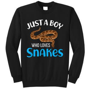 Just A Boy Who Loves Snakes Snake Lover Sweatshirt