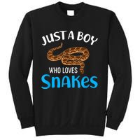 Just A Boy Who Loves Snakes Snake Lover Sweatshirt