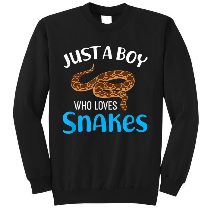 Just A Boy Who Loves Snakes Snake Lover Sweatshirt