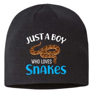 Just A Boy Who Loves Snakes Snake Lover Sustainable Beanie