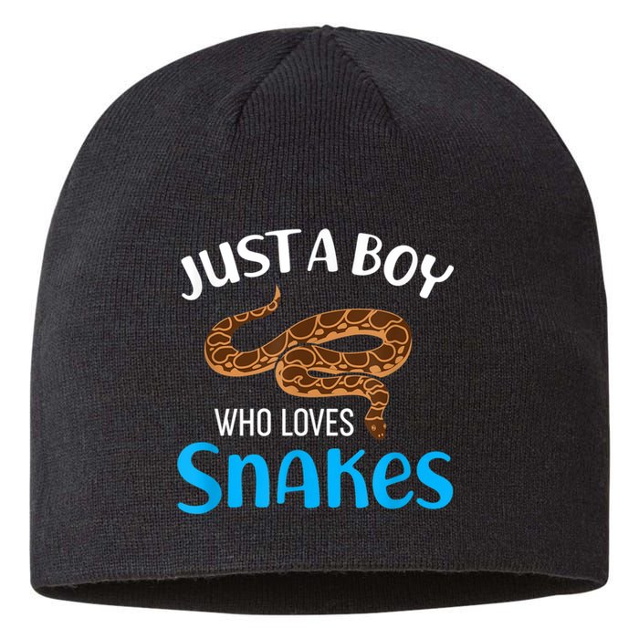 Just A Boy Who Loves Snakes Snake Lover Sustainable Beanie