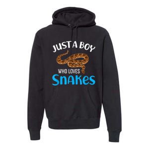 Just A Boy Who Loves Snakes Snake Lover Premium Hoodie