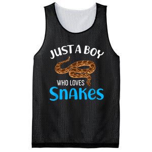 Just A Boy Who Loves Snakes Snake Lover Mesh Reversible Basketball Jersey Tank