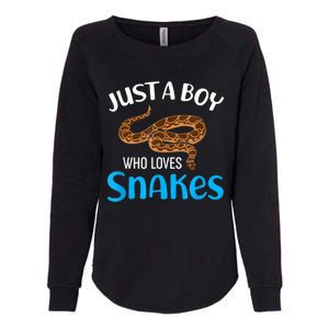 Just A Boy Who Loves Snakes Snake Lover Womens California Wash Sweatshirt