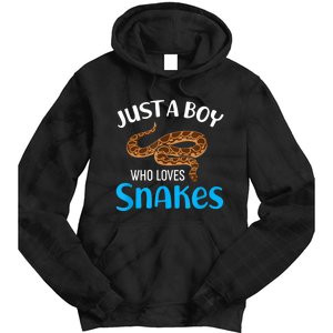 Just A Boy Who Loves Snakes Snake Lover Tie Dye Hoodie