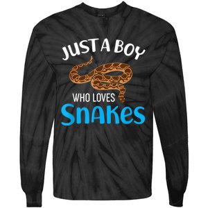 Just A Boy Who Loves Snakes Snake Lover Tie-Dye Long Sleeve Shirt