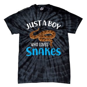 Just A Boy Who Loves Snakes Snake Lover Tie-Dye T-Shirt