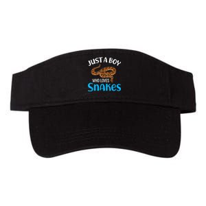 Just A Boy Who Loves Snakes Snake Lover Valucap Bio-Washed Visor