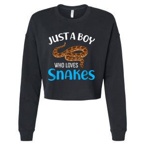 Just A Boy Who Loves Snakes Snake Lover Cropped Pullover Crew