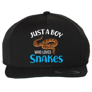 Just A Boy Who Loves Snakes Snake Lover Wool Snapback Cap