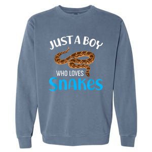 Just A Boy Who Loves Snakes Snake Lover Garment-Dyed Sweatshirt