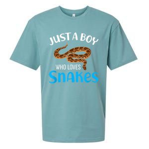 Just A Boy Who Loves Snakes Snake Lover Sueded Cloud Jersey T-Shirt