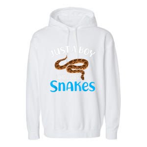 Just A Boy Who Loves Snakes Snake Lover Garment-Dyed Fleece Hoodie