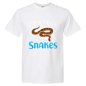 Just A Boy Who Loves Snakes Snake Lover Garment-Dyed Heavyweight T-Shirt