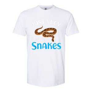 Just A Boy Who Loves Snakes Snake Lover Softstyle CVC T-Shirt