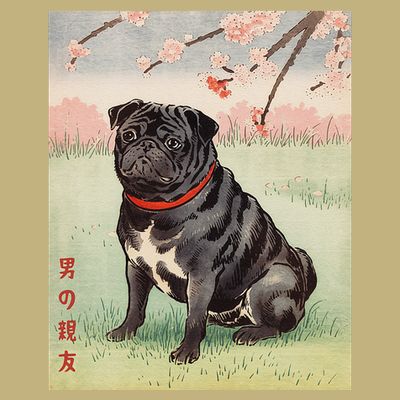 Japanese Art Black Pug Dog Kyosai Vintage Japan Artwork .Png T-Shirt