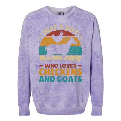 Just A Boy Who Loves Chickens Goats Farm Animal Lover Farmer Colorblast Crewneck Sweatshirt