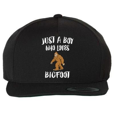 Just A Boy Who Loves Bigfoot Animal Gift Wool Snapback Cap