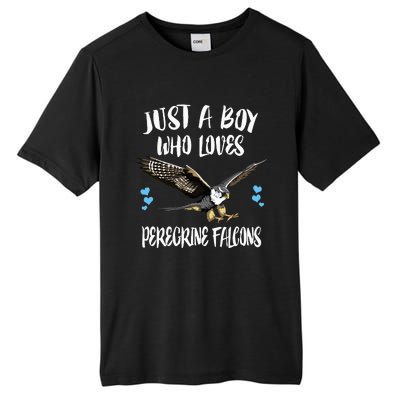 Just A Boy Who Loves Peregrine Birds Tall Fusion ChromaSoft Performance T-Shirt