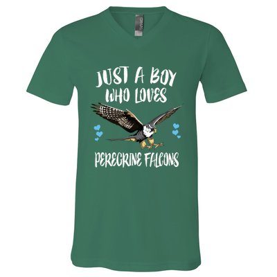 Just A Boy Who Loves Peregrine Birds V-Neck T-Shirt