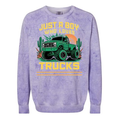 Just A Boy Who Loves Trucks Colorblast Crewneck Sweatshirt