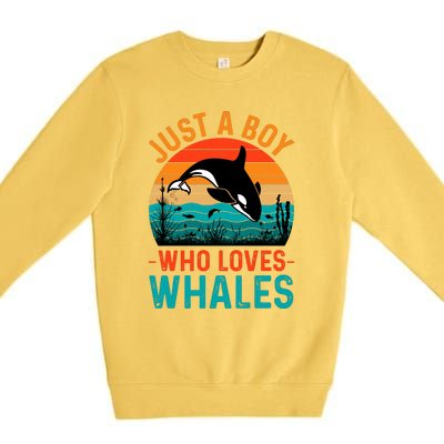 Just A Boy Who Loves Whales Premium Crewneck Sweatshirt