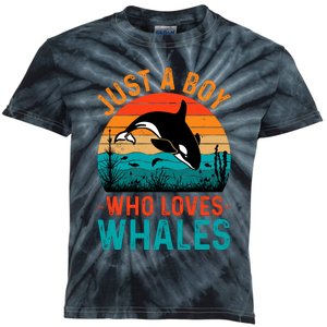 Just A Boy Who Loves Whales Kids Tie-Dye T-Shirt