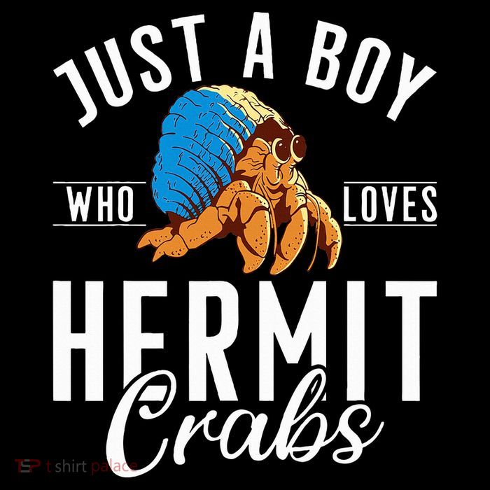 Just A Boy Who Loves Hermit Crabs T-Shirt
