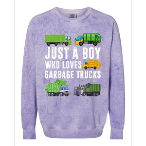 Just A Boy Who Loves Garbage Trucks Trash Truck Colorblast Crewneck Sweatshirt