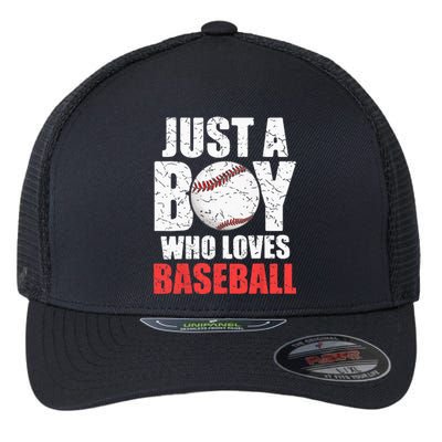 Just A Boy Who Loves Baseball Batter Catcher Pitcher Flexfit Unipanel Trucker Cap