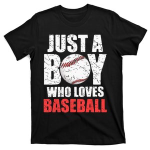 Just A Boy Who Loves Baseball Batter Catcher Pitcher T-Shirt