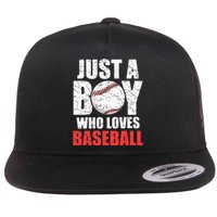 Just A Boy Who Loves Baseball Batter Catcher Pitcher Flat Bill Trucker Hat