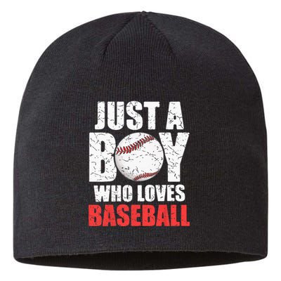 Just A Boy Who Loves Baseball Batter Catcher Pitcher Sustainable Beanie