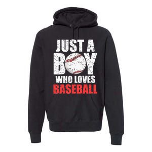 Just A Boy Who Loves Baseball Batter Catcher Pitcher Premium Hoodie