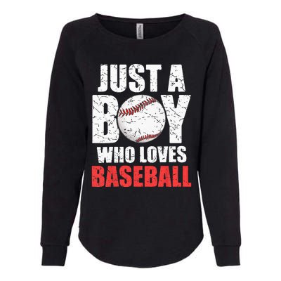 Just A Boy Who Loves Baseball Batter Catcher Pitcher Womens California Wash Sweatshirt