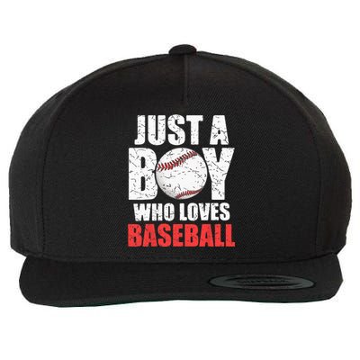 Just A Boy Who Loves Baseball Batter Catcher Pitcher Wool Snapback Cap