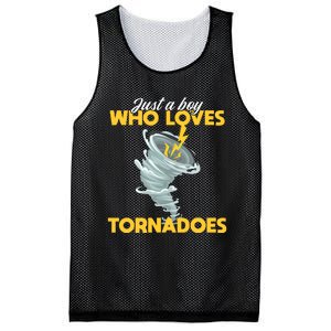 Just A Boy Loves Tornado Hurricane Weather Chaser Boy Mesh Reversible Basketball Jersey Tank