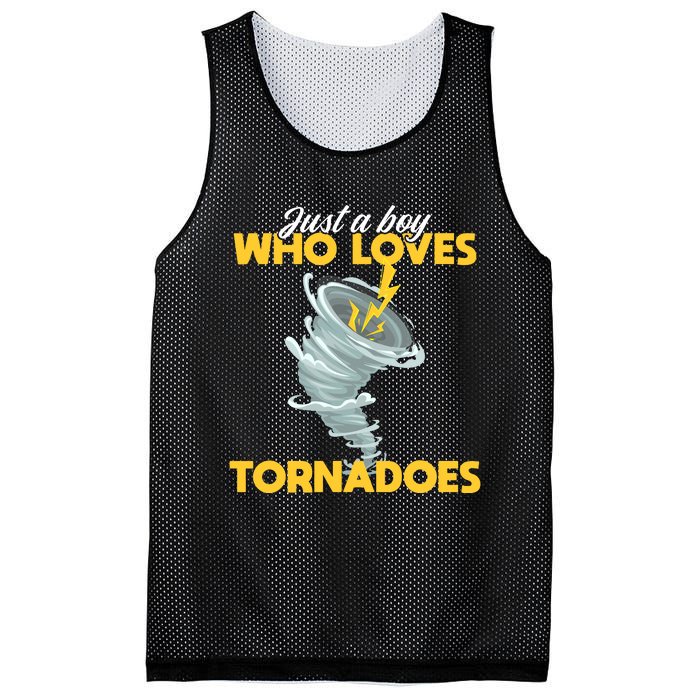 Just A Boy Loves Tornado Hurricane Weather Chaser Boy Mesh Reversible Basketball Jersey Tank