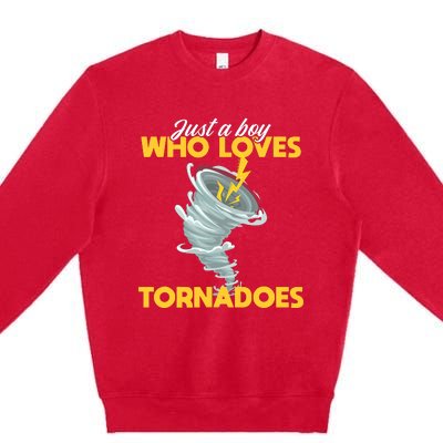 Just A Boy Loves Tornado Hurricane Weather Chaser Boy Premium Crewneck Sweatshirt