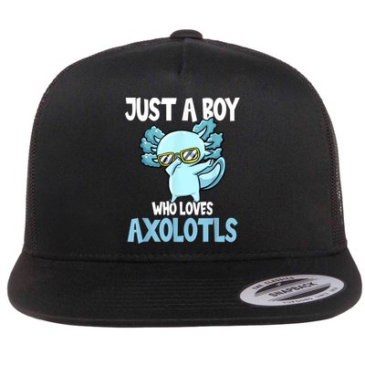 Just A Boy Who Loves Axolotls Cute Kawaii Flat Bill Trucker Hat