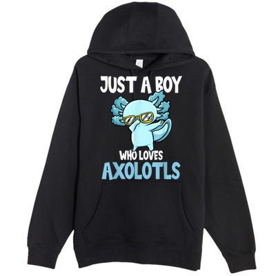 Just A Boy Who Loves Axolotls Cute Kawaii Premium Pullover Hoodie