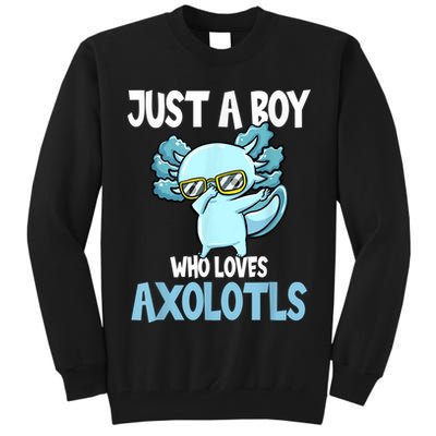 Just A Boy Who Loves Axolotls Cute Kawaii Tall Sweatshirt