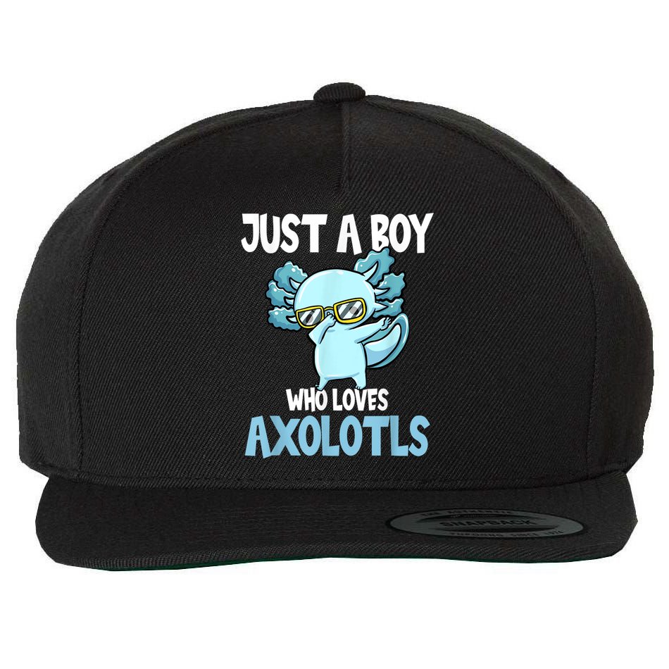 Just A Boy Who Loves Axolotls Cute Kawaii Wool Snapback Cap