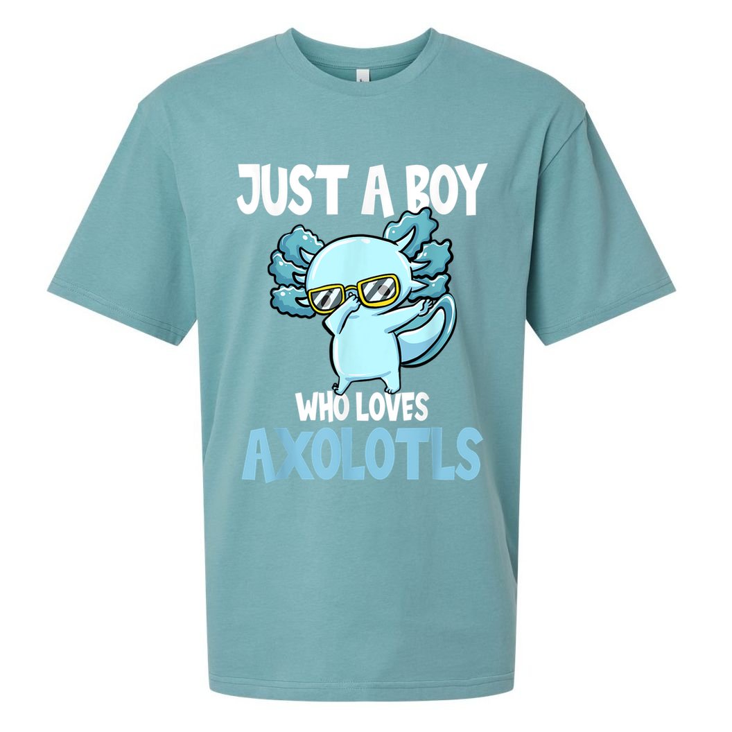 Just A Boy Who Loves Axolotls Cute Kawaii Sueded Cloud Jersey T-Shirt