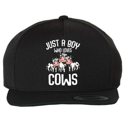 Just A Boy Who Loves Cows Farmers Cow Wool Snapback Cap