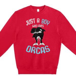 Just A Boy Who Loves Orcas Killer Whale Premium Crewneck Sweatshirt